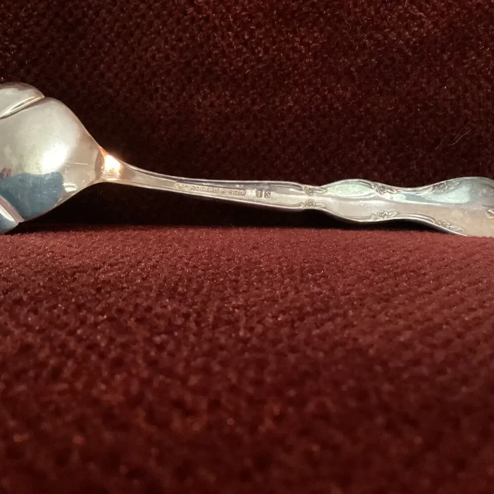 Slotted Vintage Rogers & Bros serving cake or pie server